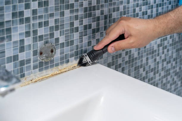 Best Certified Mold Removal  in Evergreen, CO